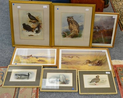 Lot 1328 - After Archibald Thorburn, eight various prints of birds