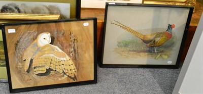 Lot 1385 - Colin Turland (20th century) ";Barn Owl"; and "; Cock Pheasant"; each signed, watercolour...