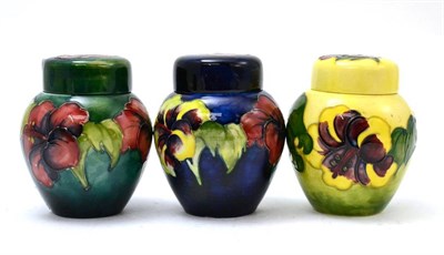 Lot 128 - A group of three Moorcroft hibiscus pattern ginger jars and covers, green, blue and yellow ground