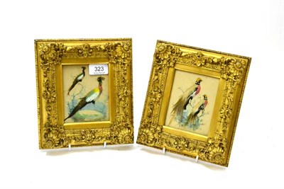 Lot 323 - Pair of 19th century gilt framed mixed media pictures of birds, feather applique and watercolour