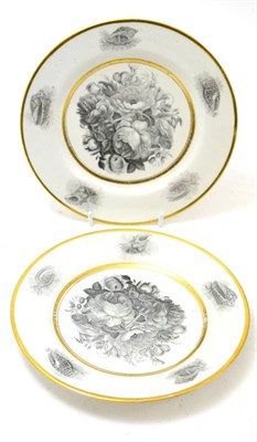 Lot 480 - A pair of Worcester Flight Barr & Barr plates decorated with shells