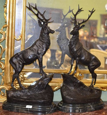 Lot 538 - A pair of bronzed stag models, each signed, on stepped marble plinth bases