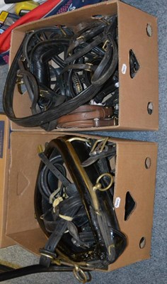 Lot 1080 - A collection of horse bits, tack, leather ware including collar etc (in three boxes)