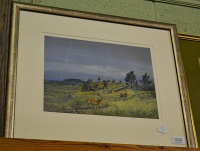 Lot 1229 - Frank Wallace, fallow deer, watercolour, ex Kenneth Whitehead Collection