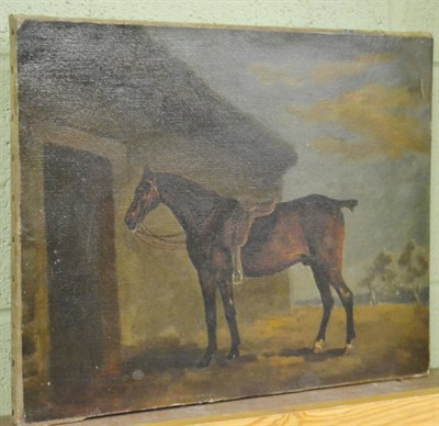 Lot 1237 - Unframed oil study of a bay hunter