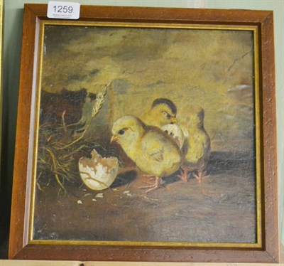 Lot 1259 - Jan H Dasveldt, Day old chicks, oil on canvas, laid on board, signed with a monogram