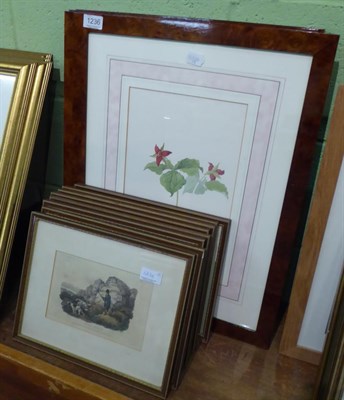 Lot 1236 - A set of four British Museum of Natural History limited edition botanical prints, together with...