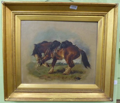 Lot 1238 - William Woodhouse (1857-1937) Study of a horse, signed, oil on canvas, 36cm by 43.5cm