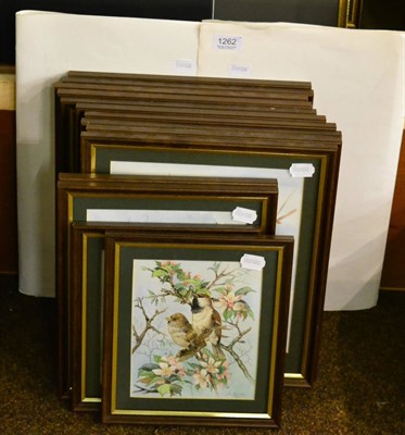 Lot 1262 - Sue Kenworthy (20th century), studies of birds, a group of watercolours, each signed and framed...