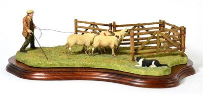 Lot 4 - Border Fine Arts 'Anxious Moment' (Penning Sheep), model No. B0584 by Ray Ayres, limited...