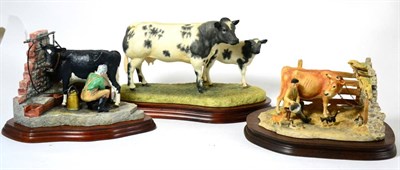 Lot 7 - Border Fine Arts 'Belgian Blue Cow and Calf' (Style One), model No. B0590 by Ray Ayres, limited...