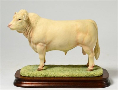 Lot 15 - Border Fine Arts 'Charolais Bull', Style One, model No. L112 by Ray Ayres, limited edition...