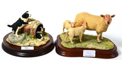 Lot 16 - Border Fine Arts 'Charolais Ewe and Lambs', model No. L121 by Ray Ayres, limited edition...