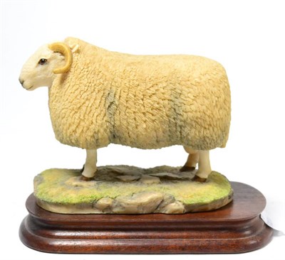 Lot 17 - Border Fine Arts 'Cheviot Ram', model No. L39 by Ray Ayres, limited edition 286/850, on wood...