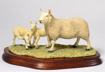 Lot 65 - Border Fine Arts 'North Country Cheviot Ewe with Scotch Half Bred Lamb', model No. L147 by Ray...