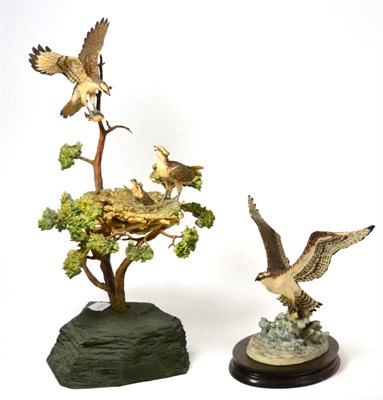 Lot 68 - Border Fine Arts 'Ospreys', model No. L38 by Ray Ayres, limited edition 181/350, with...