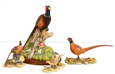 Lot 70 - Border Fine Arts Pheasant models comprising: 'Woodland Majesty' (Cock Pheasant), model No. BFA96 by