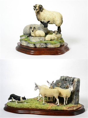 Lot 82 - Border Fine Arts 'Shetland Sheep Family Group', model No. B0597C by Ray Ayres, limited edition...