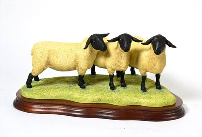 Lot 90 - Border Fine Arts 'Suffolk Family Group' (Ram with Gimmer and Ewe Lambs), model No. B0197 by Ray...