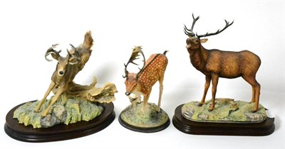 Lot 115 - Border Fine Arts 'White-Tailed Deer' (American Collection), model No. 200-402 by Daniel Parker,...