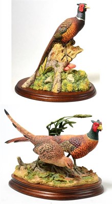 Lot 118 - Border Fine Arts 'Woodland Majesty' (Cock Pheasant), model No. BFA96 by David Walton, on wood base