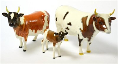 Lot 126 - Beswick Cattle Comprising: Ayrshire Bull Ch. ";Whitehill Mandate";, model No. 1454B, Ayrshire...