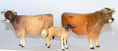 Lot 136 - Beswick Cattle Comprising: Jersey Bull Ch. ";Dunsley Coy Boy";, model No. 1422 (a.f.), Jersey...