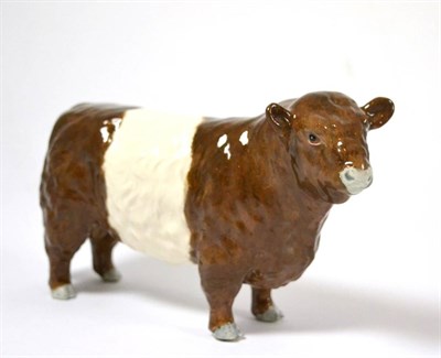 Lot 142 - Beswick Galloway Bull - Belted, model No. 1746, rare colourway, brown and white gloss