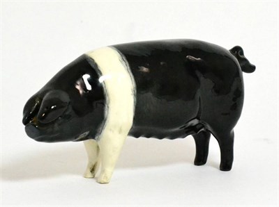 Lot 155 - Beswick Wessex Saddleback Sow ";Merrywood Silver Wings 56th";, model No. 1511, black and white...