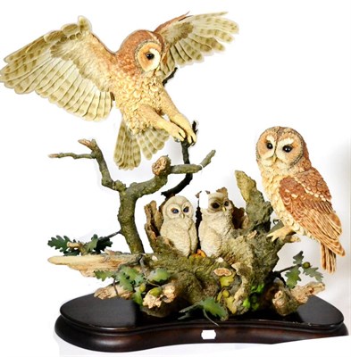 Lot 171 - Country Artists Owl and Chicks Model 'The Owl's Oak' by Keith Sherwin, limited edition 81/99,...