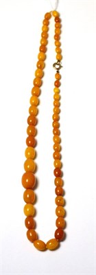 Lot 287 - Amber bead necklace