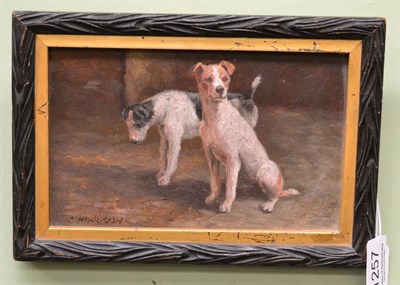 Lot 1257 - Claude Harrison (19th/20th century) Study of two terriers, signed, oil on board