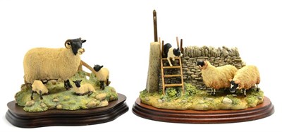 Lot 12 - Border Fine Arts 'Element of Surprise' (Collie and Sheep), model No. B0089 by Ray Ayres, on...