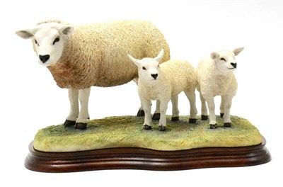 Lot 40 - Border Fine Arts 'Texel Ewe and Lambs' (Style Two), model No. B0658 by Jack Crewdson, limited...