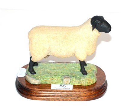 Lot 55 - Border Fine Arts 'Suffolk Ram', (style one), model No. L40 by Ray Ayres, limited edition...