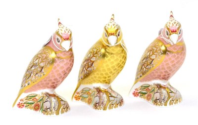 Lot 209 - Three Royal Crown Derby Cockatoo paperweights including: Citron Cockatoo and two others (each...