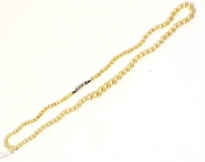 Lot 386 - A cultured pearl necklace, the graduated pearls strung to a diamond set clasp, length 52cm