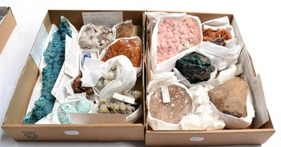 Lot 555 - * Two Trays of Fifteen Assorted World Specimens, including Chalcanthite, Amber, Rhodochrosite...