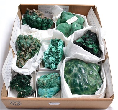 Lot 559 - * One Tray of Eight Malachite Mineral Specimens from Africa