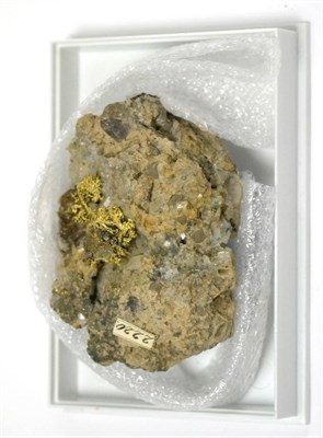 Lot 646 - A Native Gold Specimen, Abrudbania, Transylvania   From the Joseph Neeld collection that was...