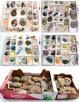 Lot 650 - Four Boxes of Fossils and Ninety Nine Mineral Specimens, to include Fluorite, Hilton mine,...