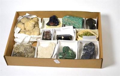 Lot 655 - A Collection of Eleven Mineral Specimens, including Lapis Lazuli, Jet from Whitby, Tourmaline...