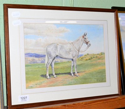 Lot 1227 - D M & E M Alderson, watercolour of a grey hunter, dated 1951