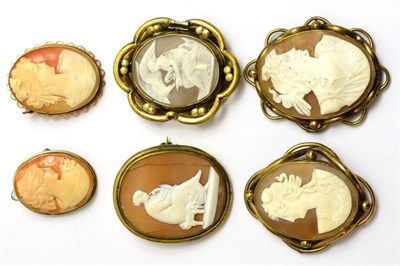 Lot 61 - Six various shell cameo brooches