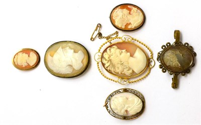 Lot 67 - Six various shell cameo brooches