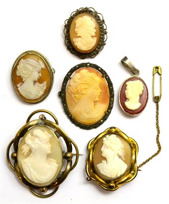 Lot 70 - Six various shell cameo brooches