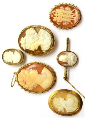 Lot 98 - Six various shell cameo brooches