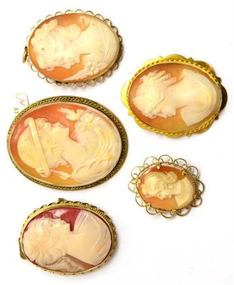 Lot 111 - Five various shell cameo brooches