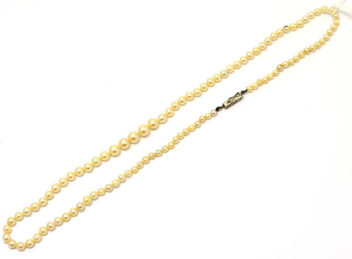 Lot 243 - A cultured pearl necklace, the graduated pearls strung to a diamond set clasp, length 52cm