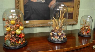 Lot 430 - Three Victorian glass domes each containing a dried grass arrangement